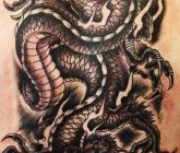 latest-tats-014