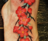 latest-tats-015